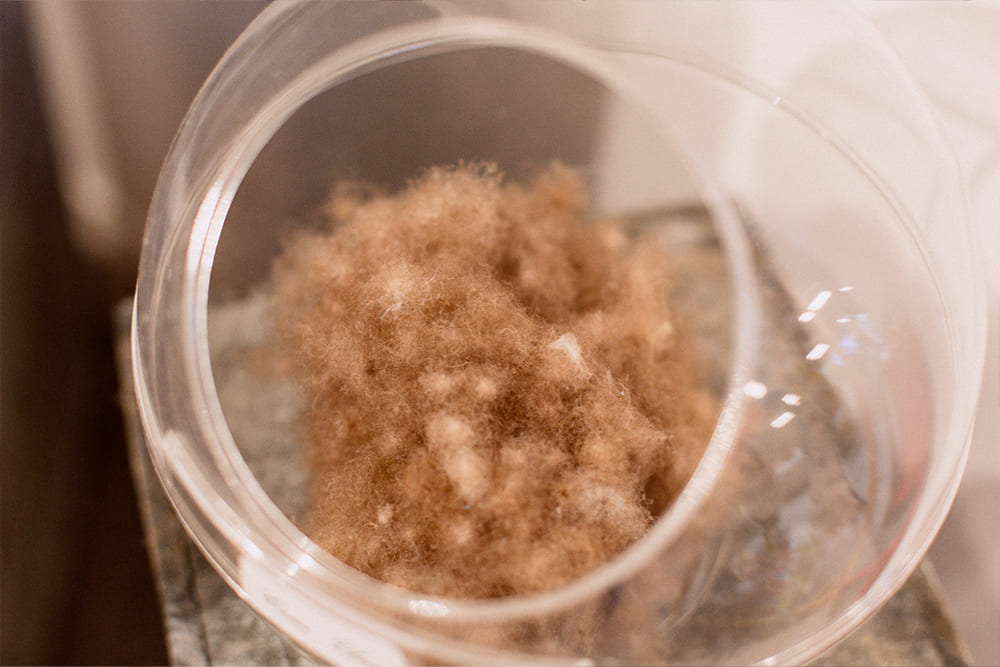 Eiderdaunendecke bei Betten Meier - Eiderenten Daunendecke