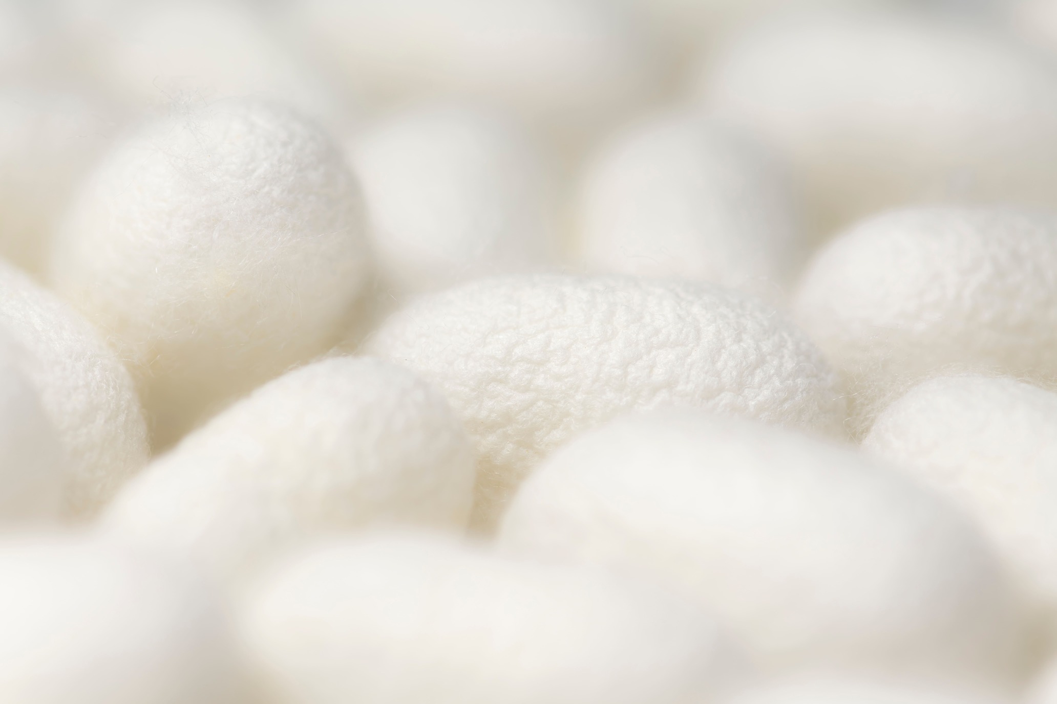 Bettdecke aus Seide von Betten Meier